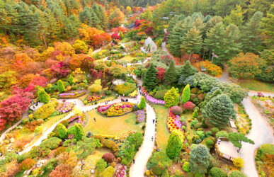 加平朝陽樹木園