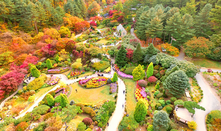 加平朝陽樹木園